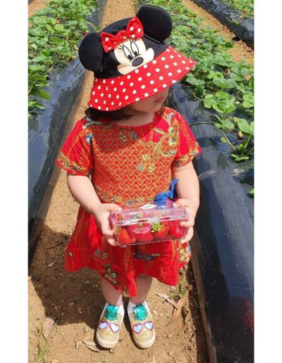 red batik 2